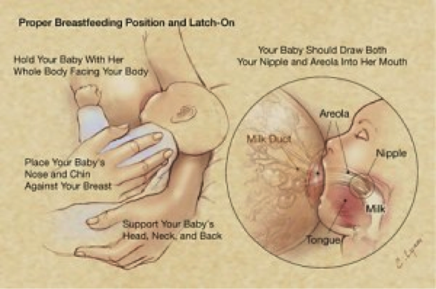 Breast feeding Position and latching